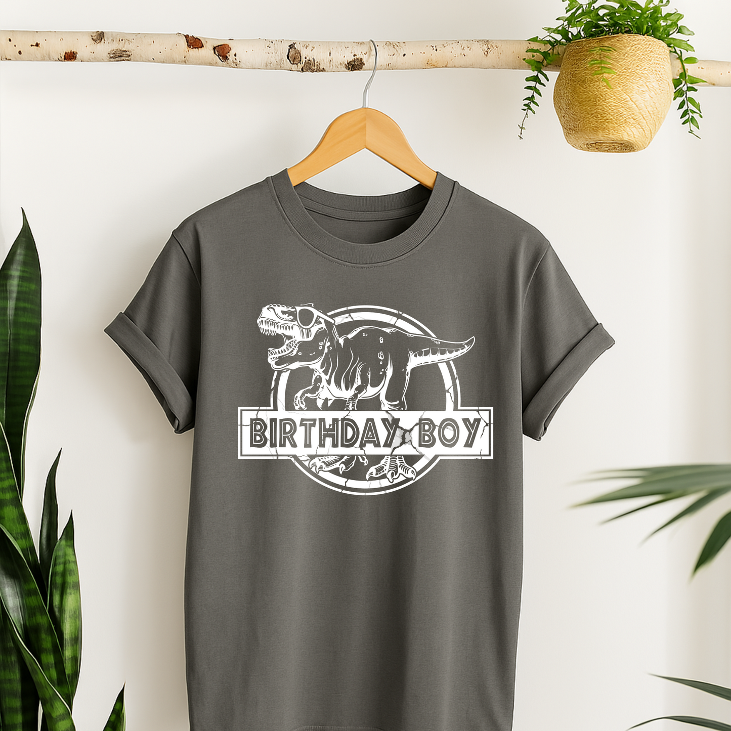 Birthday Boy T-Rex T-Shirt